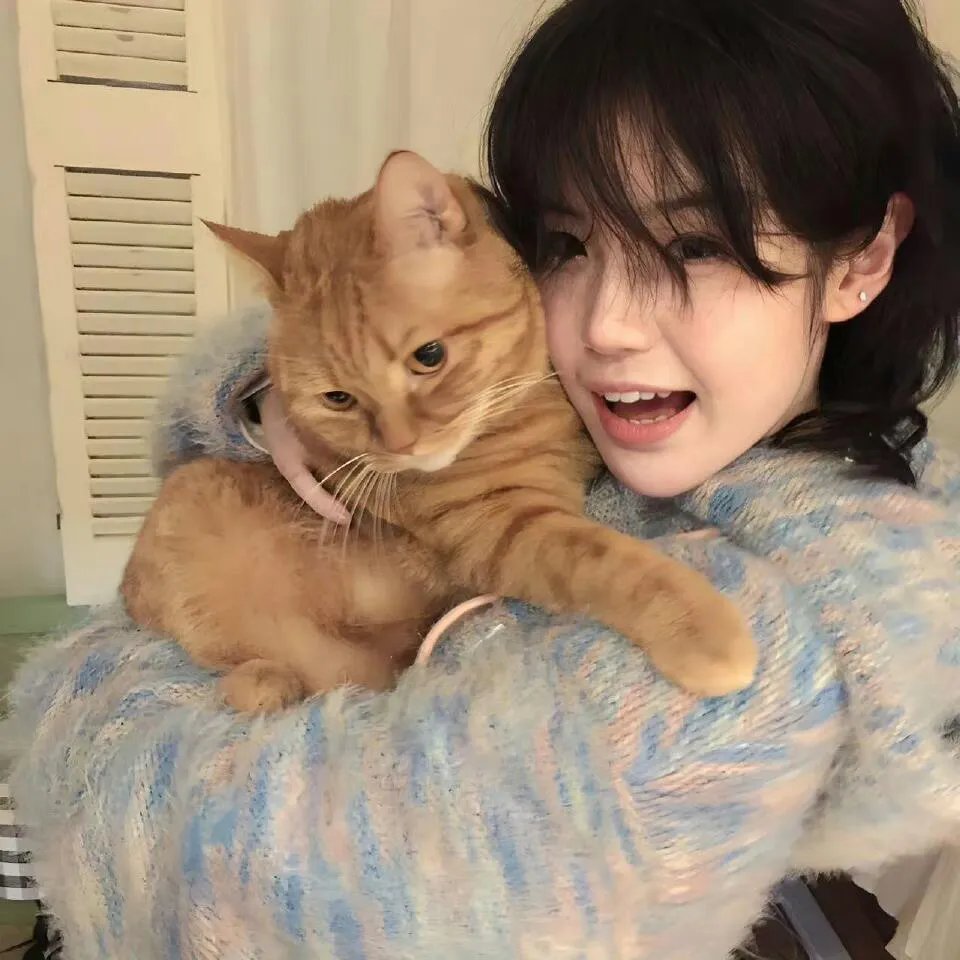 柳暗花明又一春